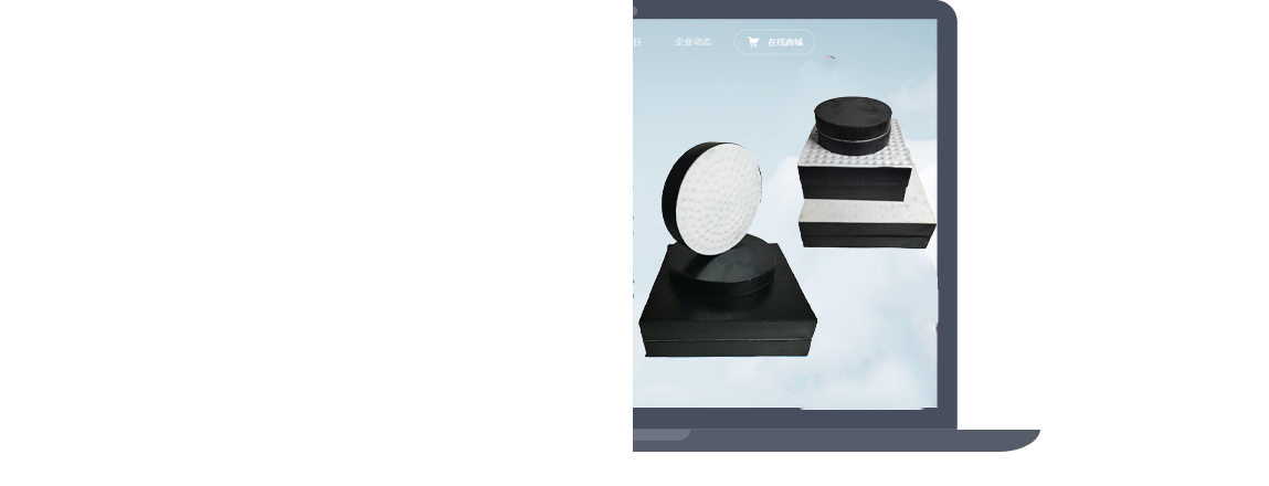 橡膠止水帶,橋梁伸縮縫,雙組份聚硫密封膠,雙組份聚硫密封膏,遇水膨脹止水條,聲測(cè)管,橋梁樁基聲測(cè)管,橡膠支座,橋梁支座,預(yù)應(yīng)力波紋管,橋梁頂升,橋檢車出租租賃